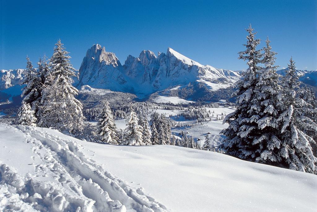 Alpin Sport Aparthotel Ortisei Exterior foto